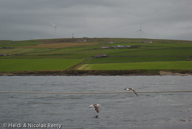 Orkney Mainland