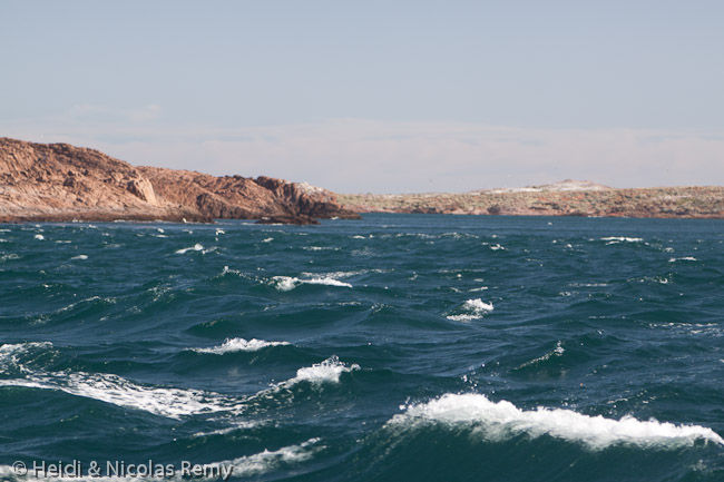 Dans le Canal Leones, sur la côte argentine, un fort vent contre le courant de 5 nœuds peut rapidement faire très mal !