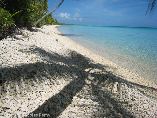 Blanc de la plage de corail, vert des cocotiers et turquoise de l'eau, ici il n'y a rien d'autre !