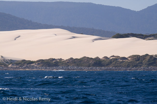 Les dunes du Cape Howe apparaissent sans crier gare !