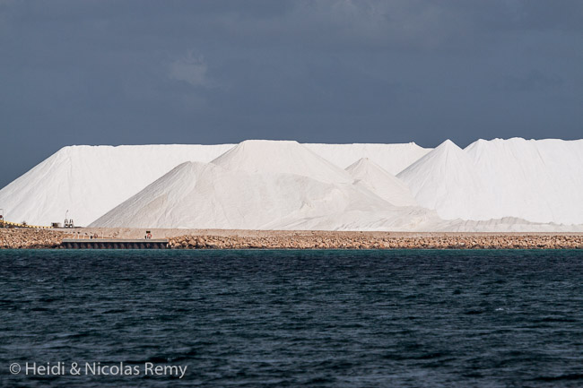 Des eaux très étendues, très peu profondes, très salées et très ensoleillées... La recette logique pour une importante production de sel dans Shark Bay.