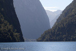 Fiordland - Doubtful Bradshaw & Thompson Sounds