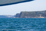 Bluefish Point & North Head