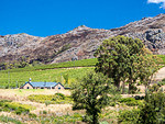 Vignobles de Stellenbosch